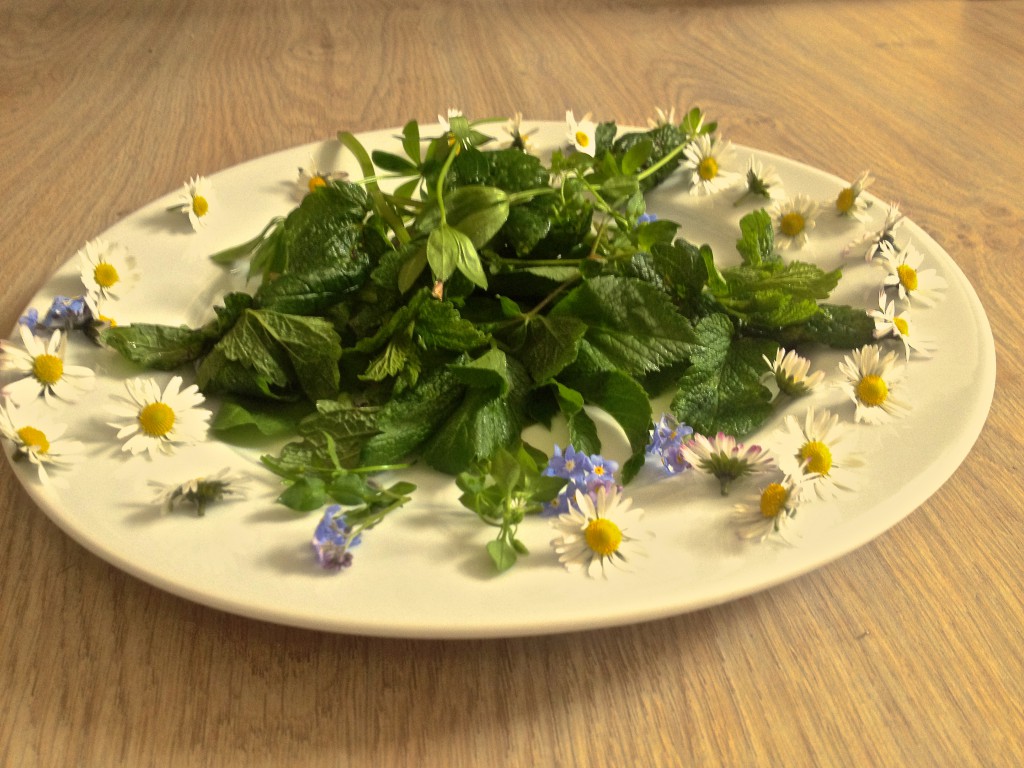 Frühlingskräuter auf einem Teller (Copyright: wilderwegesrand.de)