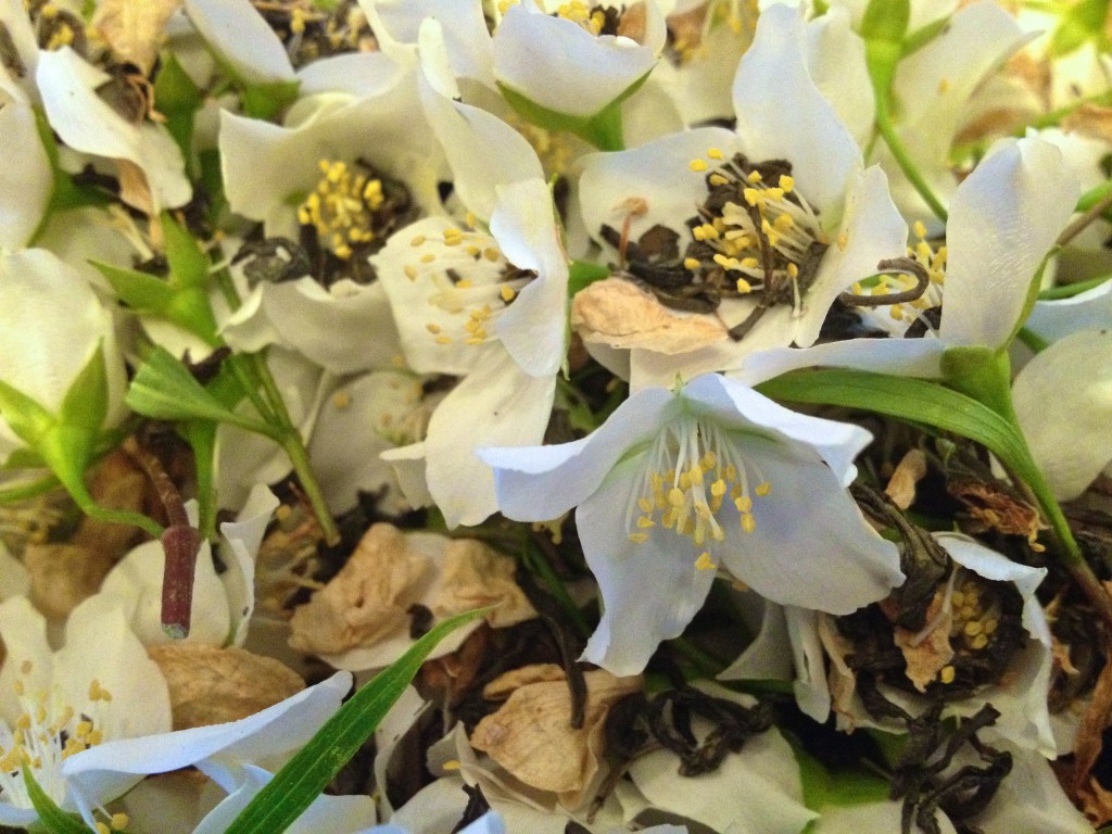 Jasminblüten mit Grüntee gemischt (Copyright: wilderwegesrand.de)