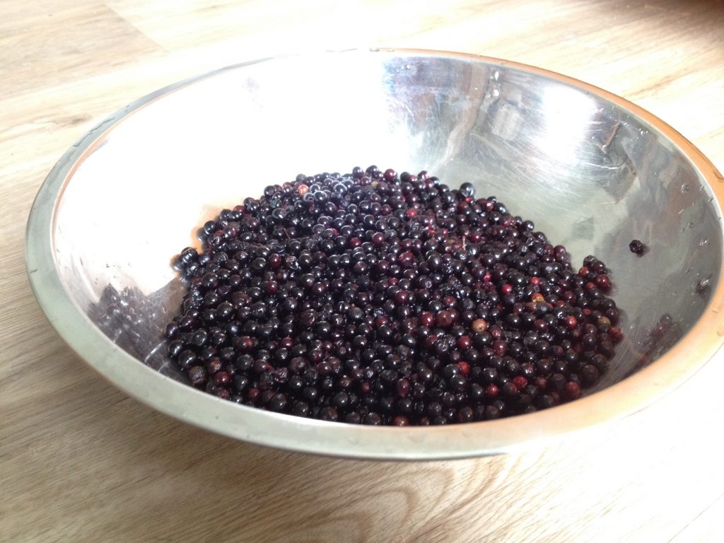 Holunderbeeren (Copyright wilderwegesrand.de)