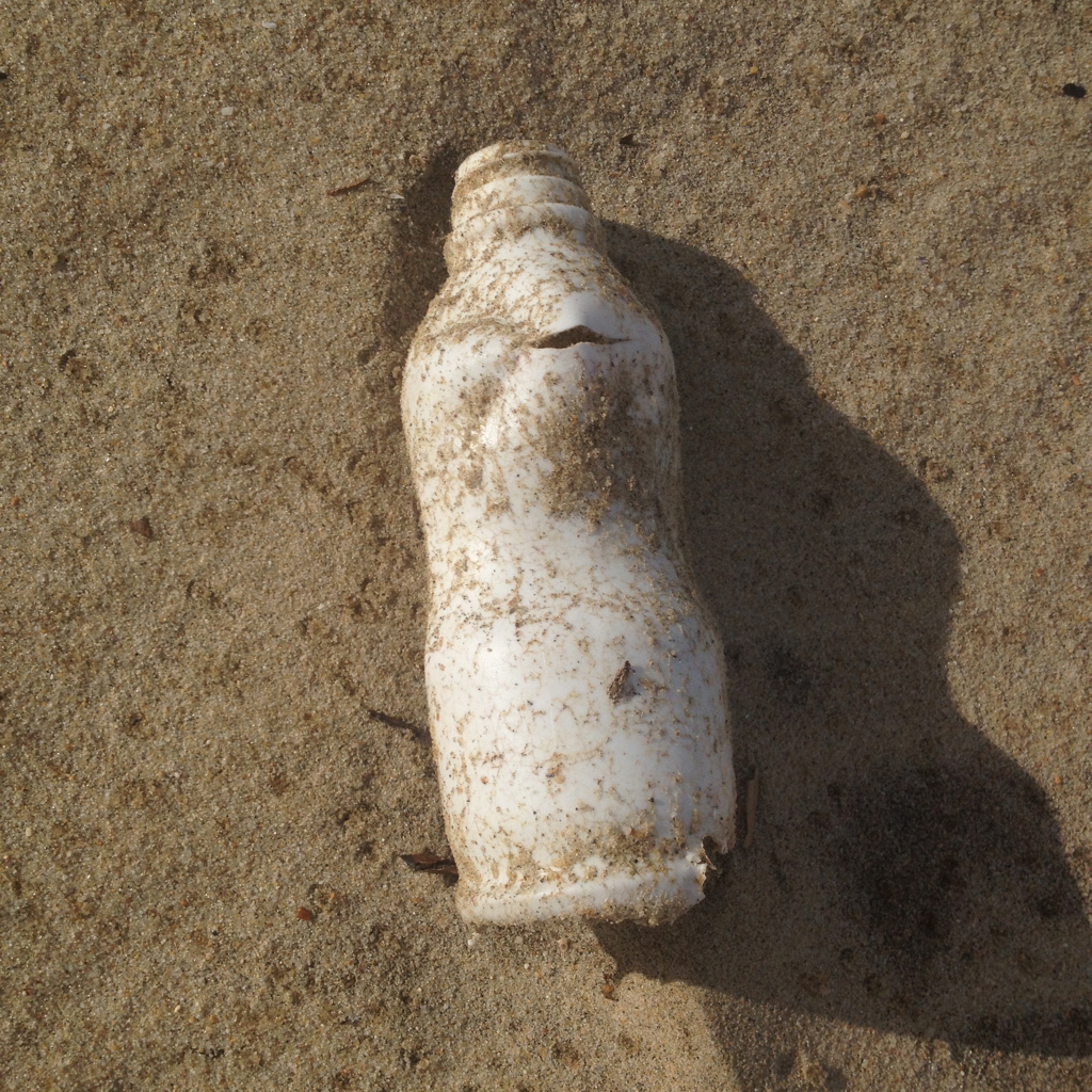 Plastikmüll an der Atlantikküste (Copyright: wilderwegesrand.de)